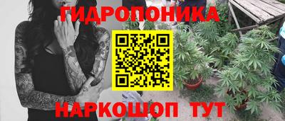 сатива Конаково