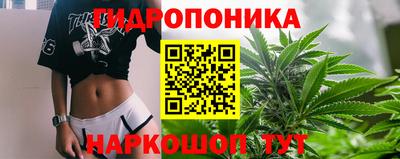 сатива Конаково