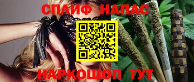 стафф Краснознаменск