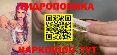 сатива Конаково