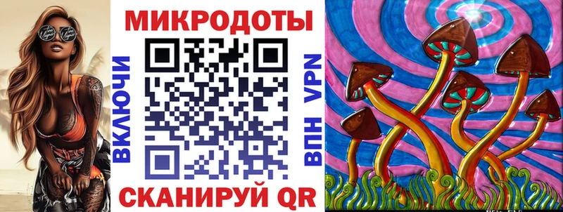 Галлюциногенные грибы Psilocybe  продажа наркотиков  Луга 