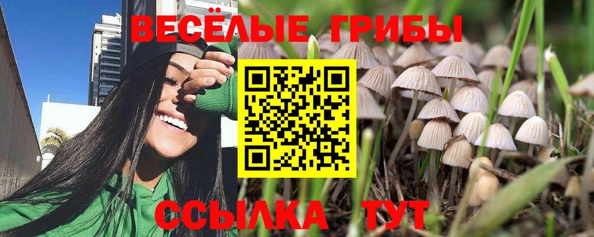Псилоцибиновые грибы ЛСД Луга