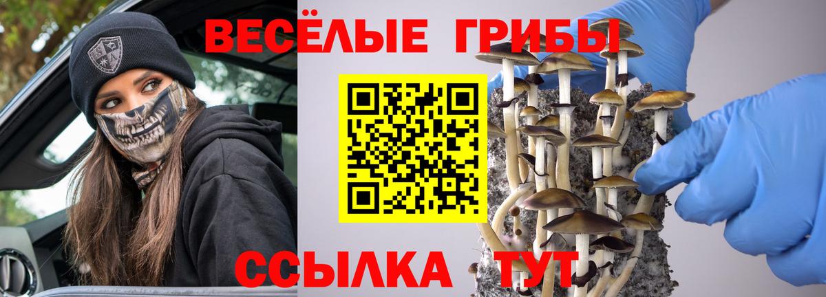 Псилоцибиновые грибы Psilocybine cubensis  Вход с VPN  Луга 